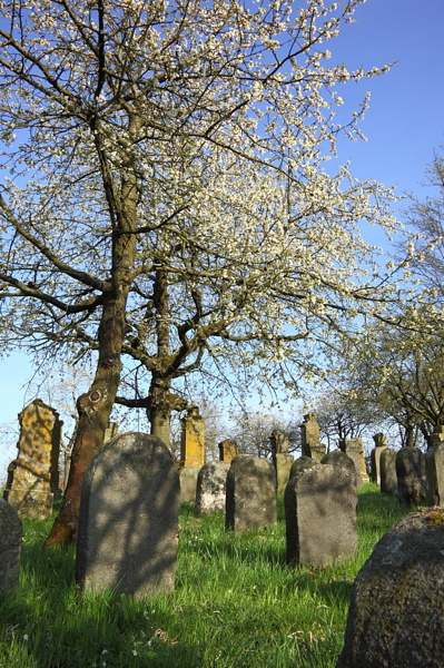 010374.jpg