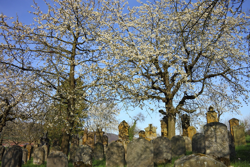 010377.jpg