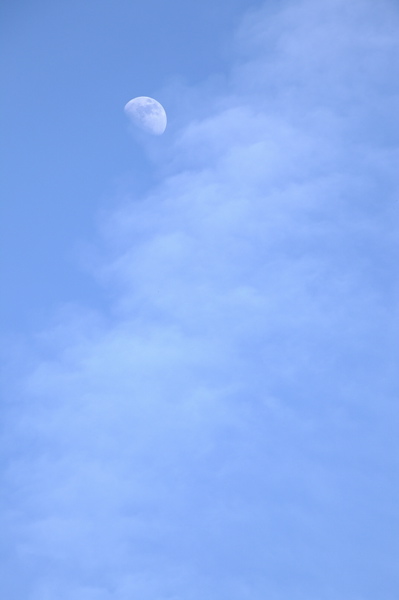 010380.jpg