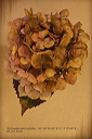 010108