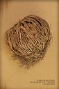 010131