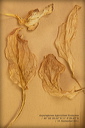 010136