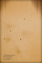 010145