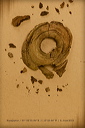 010148