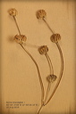 010162