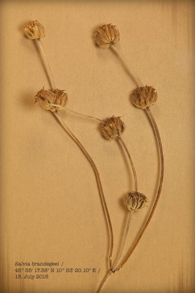 010162.jpg