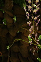 008062