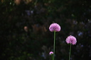 008076