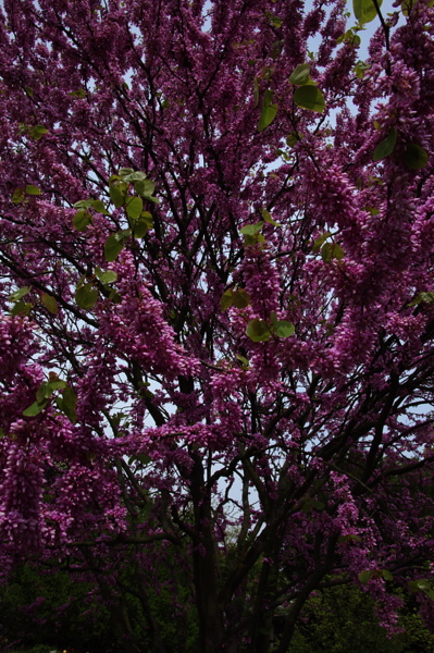 008019.jpg