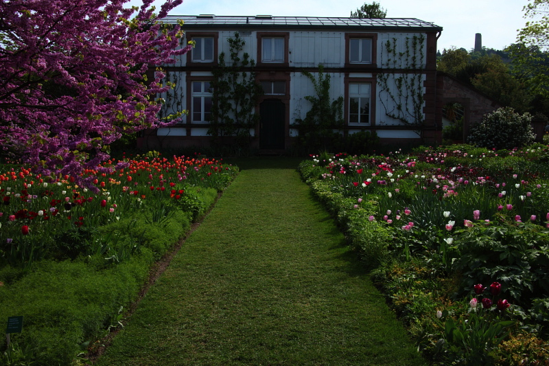 008027.jpg