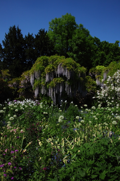 008032.jpg