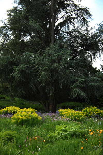 008071.jpg