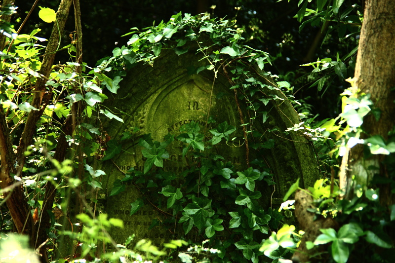 008403.jpg