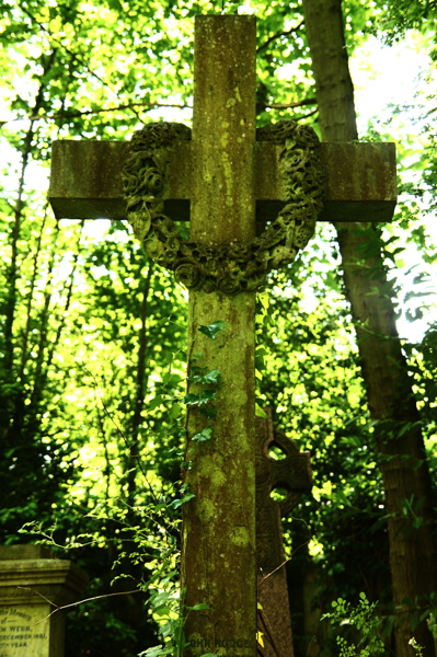008406.jpg