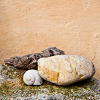 Vor dem Winter | before winter