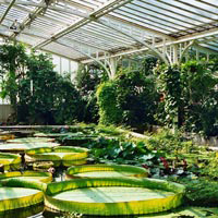 Botanischer Garten, München