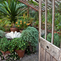 Chelsea Physic Garden