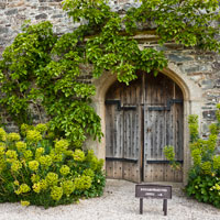 Cotehele, St Dominick