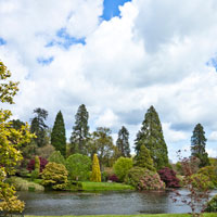 Sheffield Park and Garden