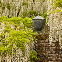 Sissinghurst Castle, Cranbrook