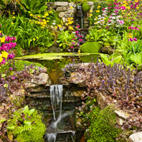 Trebah Gardens, Falmouth