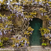 Trelissick Garden, Feock