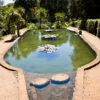 Abbotsbury Subtropical Gardens, Nr Weymouth