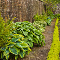 Forde Abbey, Chard