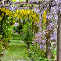 Heale House, Middle Woodford