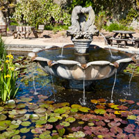 Ventnor Botanic Gardens, St Lawrence