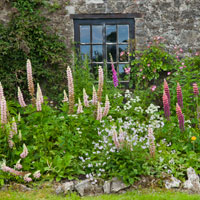 Gwaenynog Hall, Denbigh