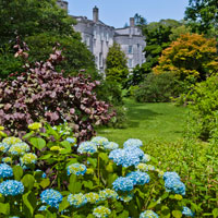 Picton Castle Gardens, Haverfordwest