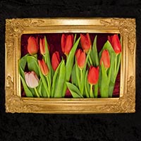 Gerahmt, K-Studio | Framed, K-Studio