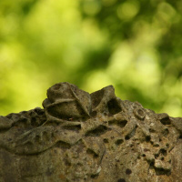 Highgate Friedhof, London | Highgate Cemetery, London