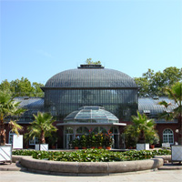 Palmengarten, Frankfurt