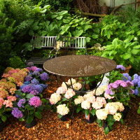 Garten Hauber | Garden Hauber