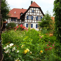 Garten Veeser | Garden Veeser