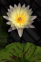 001355