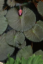 001365