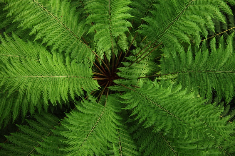001326.jpg