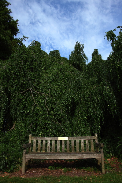 001368.jpg