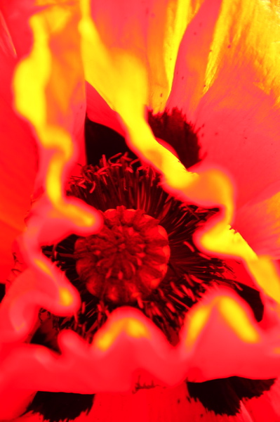 001378.jpg