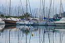 013_mg_1336