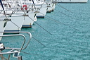 083_mg_1462
