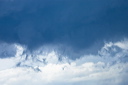 162_mg_1644