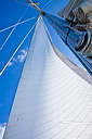 229_mg_1778