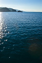301_mg_1901