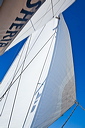 320_mg_2002