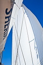 321_mg_2006