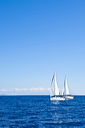 354_mg_2021